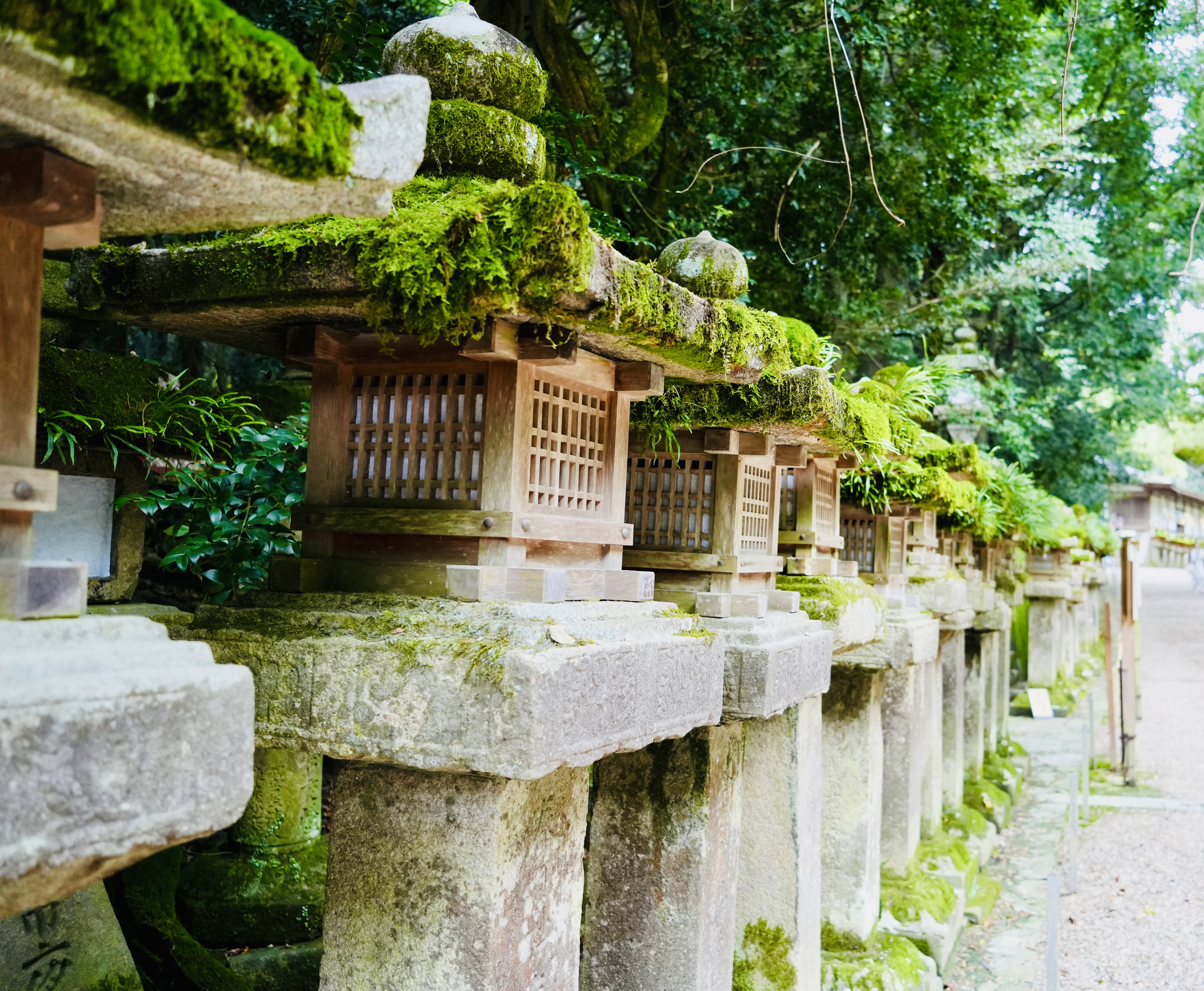 自分がダメな存在だと思ったら