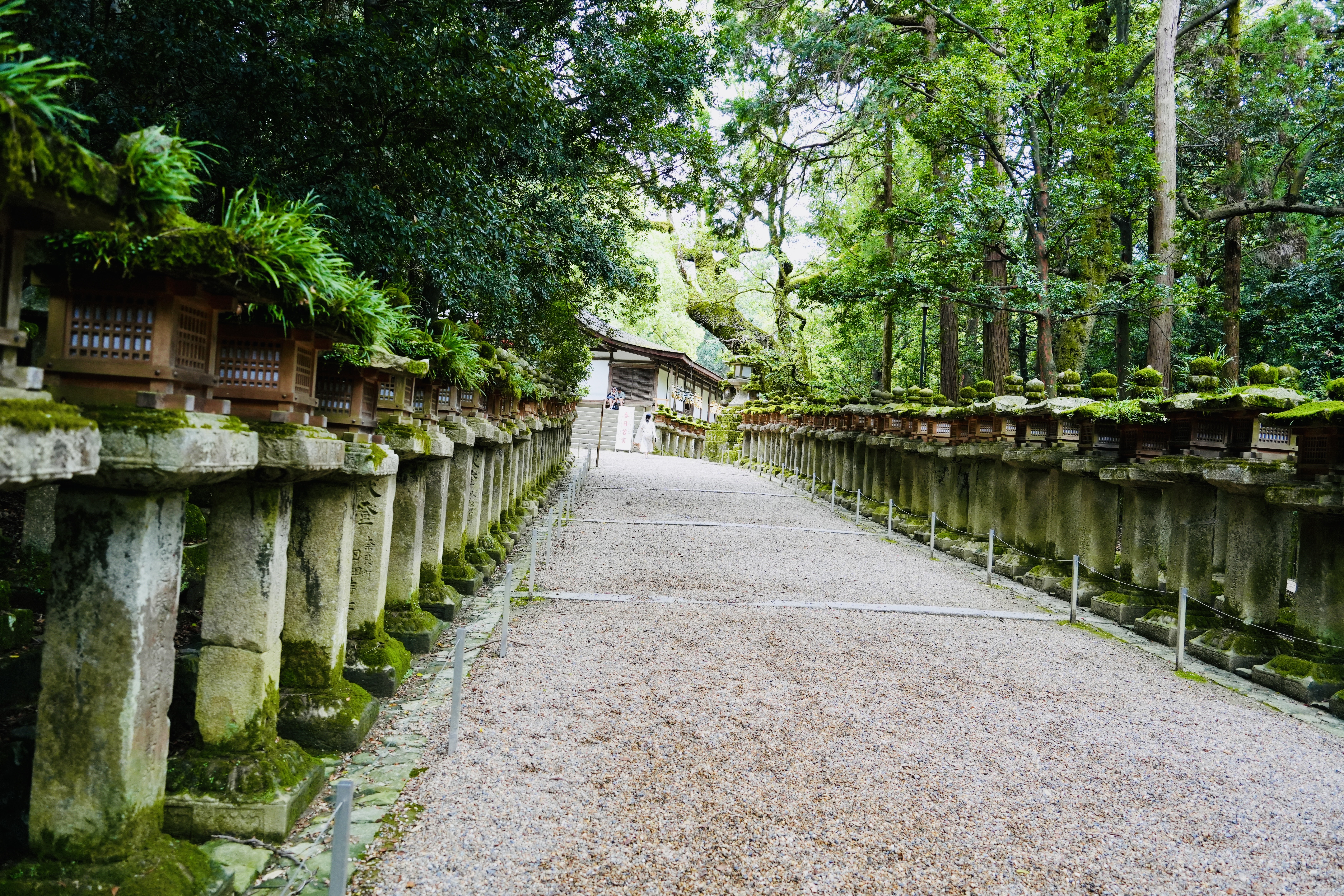 何もしてないと感じてしまう